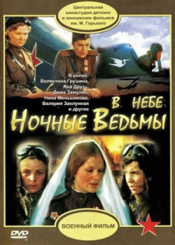 В небе «ночные ведьмы» (1981)