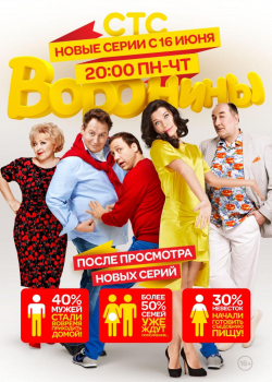 Воронины (22 сезон)