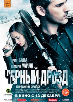 Черный дрозд (2012)