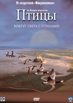 Птицы (2002)