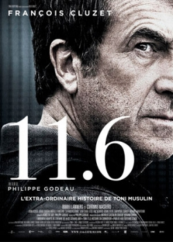 11.6 (2013)