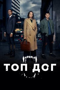 Топ дог 1-2 сезон (2020)