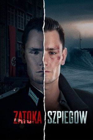 Шпионский залив сериал (2024)