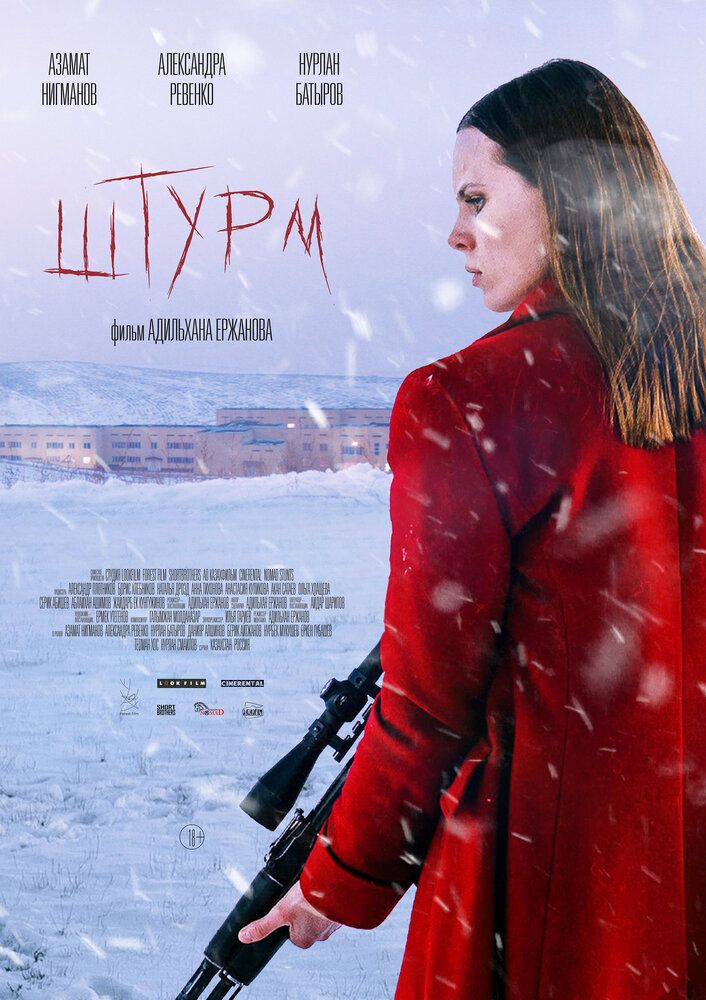 Штурм. Фильм (2022)